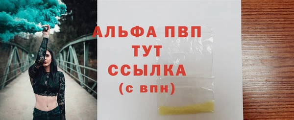 PSILOCYBIN Нея