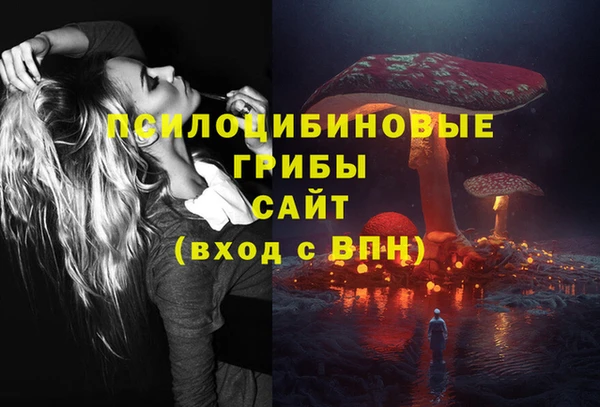 PSILOCYBIN Белая Холуница