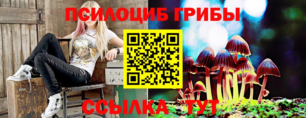 Галлюциногенные грибы Psilocybine cubensis  Псилоцибиновые грибы мухоморы  Вход с VPN  Асбест 