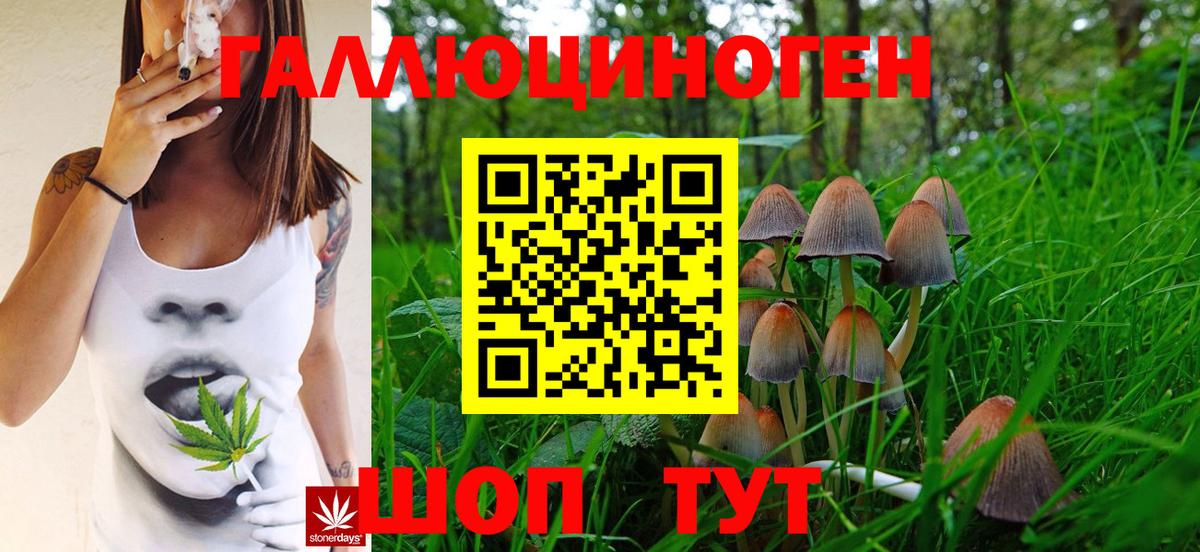 Псилоцибиновые грибы мухоморы Асбест
