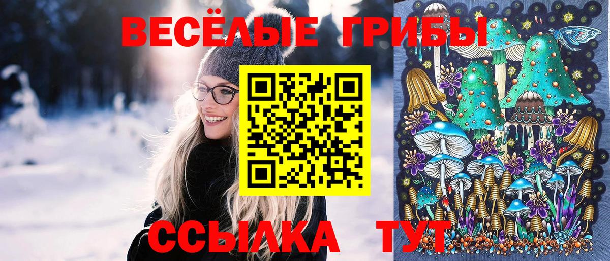 Псилоцибиновые грибы Psilocybine cubensis  Асбест  Галлюциногенные грибы Psilocybine cubensis 